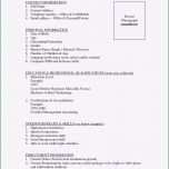 Toll Vorlage Lebenslauf Open Fice