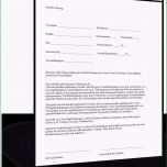 Toll Vornehm Vodafone Vertrag Widerrufen Allscenes