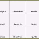 Überraschen 11 Leporello Vorlage