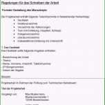 Überraschen 13 Protokollvorlage Word