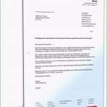 Überraschen 15 Kündigungsschreiben Versicherung Vorlage Gratis