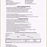 Überraschen 15 Offizielle Briefe Schreiben Muster