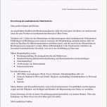 Überraschen 15 Vorlage Leihvertrag