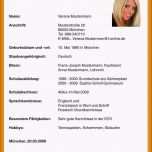 Überraschen 17 Lebenslauf Für Studium Vorlage