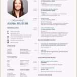 Überraschen 20 Openoffice Vorlage Lebenslauf