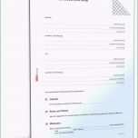 Überraschen 49 Finanzielle Burgschaft Vorlage Laurencopeland