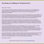 Überraschen 60 Inspiration Vorlage Fsj Bewerbung Modelle