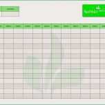 Überraschen 8 Ernährungsplan Vorlage