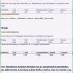 Überraschen Abnehm Tagebuch Vorlage