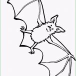 Überraschen Aengstliche Fledermaus 2 Ausmalbild &amp; Malvorlage Tiere