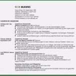 Überraschen Arbeitsbericht Vorlage Handwerk Kostenlos Fabelhaft