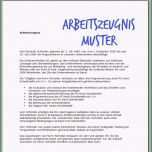 Überraschen Arbeitszeugnis Vorlage Word – Various Vorlagen