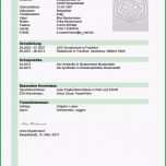 Überraschen Azubi Muster Lebenslauf Hellgrünes Design