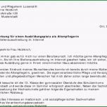 Überraschen Bewerbung Altenpfleger In Ausbildung sofort Download