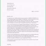 Überraschen Bewerbung Auf Englisch Anschreiben &amp; Lebenslauf