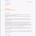 Überraschen Bewerbung Franzoesisch Muster