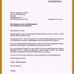 Überraschen Bewerbung Minijob Anschreiben 12 Bewerbung Aushilfe Muster