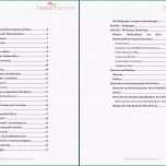 Überraschen Business Plan Berater Trainer Coach