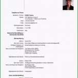 Überraschen Cv Europass Allemand Ichiza Tamara