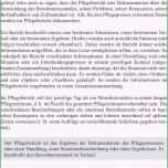 Überraschen Die Erstaunliche Pflegebericht Muster