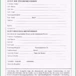 Überraschen Ebay Bewertung Vorlage Flashboot Download Chip