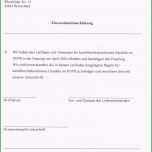 Überraschen Einverständniserklärung Kind Urlaub Vorlage Elegant