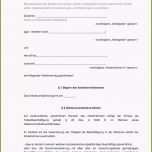 Überraschen Einzigartiges Auftrag Erteilen Muster