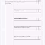 Überraschen Entwicklungsgesprach Kindergarten Vorlage Protokoll