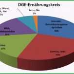 Überraschen Ernährungskreis
