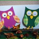 Überraschen Eulen Basteln Aus Papier Kinderspiele Welt