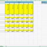 Überraschen Excel Vorlage Rentabilitätsplanung Kostenlose Vorlage