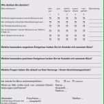 Überraschen Fragebogen Erstellen Vorlage Angenehm Umfrage Muster