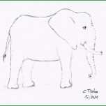 Überraschen Freistilkunst Elefanten