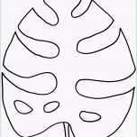 Überraschen Glänzende Monsterablätter Selbstgemacht – Shiny Selfmade