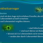 Überraschen Haccp Hygieneschulung Haccp Schulung Auf Cd Rom Vorlage