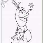 Überraschen Igel Schablone Zum Ausdrucken