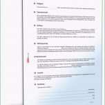 Überraschen Kaufvertrag Mit Ratenzahlung