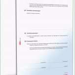 Überraschen Kaufvertrag Pferd