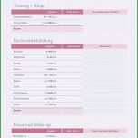 Überraschen Kostenplan Vorlage