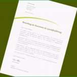 Überraschen Kurzbewerbung Schreiben