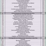 Überraschen Lastenheft Vorlage Word