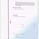 Überraschen Mietvertrag Einliegerwohnung Muster Als Doc &amp; Pdf