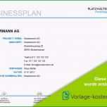 Überraschen Muster Businessplan
