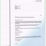 Überraschen Pflichtteilsanspruch Gegen Den Erben Muster Vorlage Zum