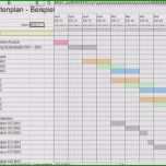 Überraschen Projektmanagement Excel Vorlage Inspirierende 11 Excel