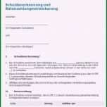 Überraschen Ratenzahlung Vorlage Einzahl Ratenzahlung Vorlage Muster