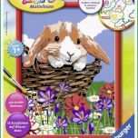 Überraschen Ravensburger Malen Nach Zahlen Goldiges Schlappohr