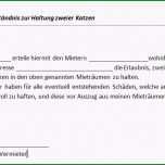 Überraschen Schriftliches Einverständnis Der Vermieters Für