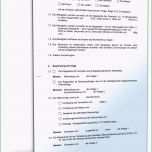 Überraschen Selbstauskunft Mieter Muster Zum Download