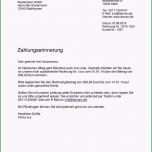 Überraschen Spendenbrief Schreiben Vorlage Inspiration Sponsoren